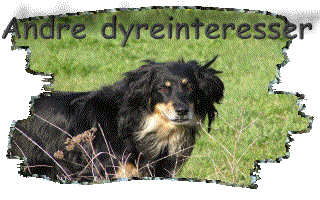 Andre dyreinteresser