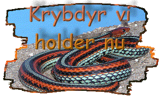 Krybdyr vi holder nu banner