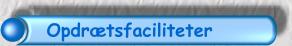 Opdr�tsfaciliteter link